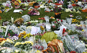 Krijgt oranjevereniging geld, dan wij ook