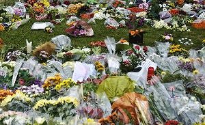 Krijgt oranjevereniging geld, dan wij ook