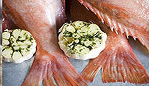 Partycateraar nu ook HACCP gecertificeerd