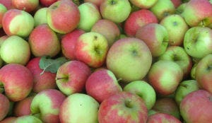 'Appeltje van de baas' succesvol