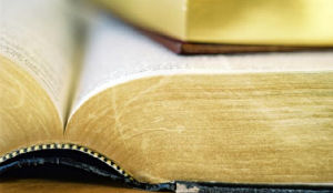 Roep om culinair kenniscentrum