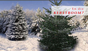 Kerst: aantal restaurantbezoekers stabiel