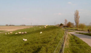 Zorghotel voor Anna Paulowna