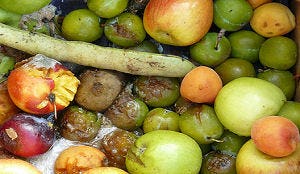 Ministerie wil ideeën voor minder voedselverspilling