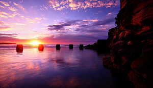 Branchetoppers: 'Crisis tweede helft 2010 over hoogtepunt