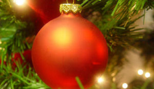 Kerstboekingen goed bij Alliance-leden