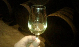 't Brouwerskolkje wint Copa Jerez Nederland 2009