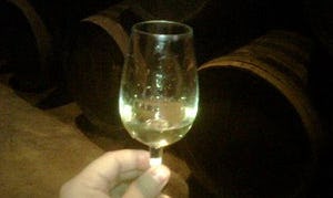 't Brouwerskolkje wint Copa Jerez Nederland 2009