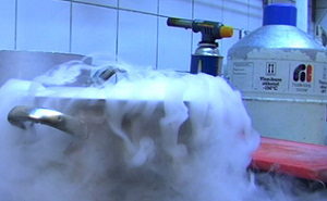 Spanje krijgt moleculaire kookschool