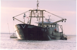 MSC-standaard voor duurzame mosselen