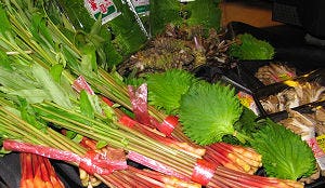 Rungis trots op verse Japanse groenten