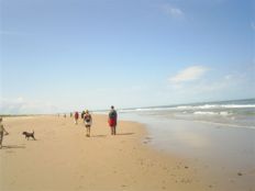 Hoek van Holland ziet graag groot evenement