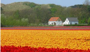 Nederlander gaat bewuster op vakantie