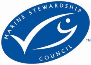 MSC beste keurmerk voor duurzame vis