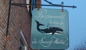 Jozua Jaring naar De Hoop Op d'Swarte Walvis