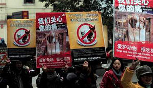 Hond en kat mogelijk van het menu in China