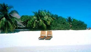 Horeca floreert met VakantieVeilingen.nl