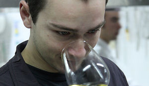 Adrian Zarzo Habraken verruilt Librije voor Ivy