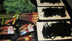 Rungis presenteert trends 2010