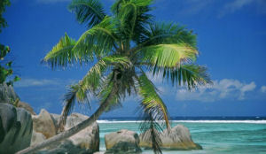 Mensen lopen nog niet warm voor zomervakantie