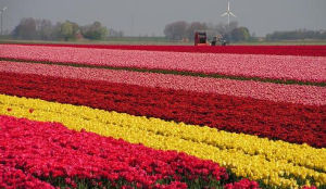 Minder buitenlandse toeristen met Pasen