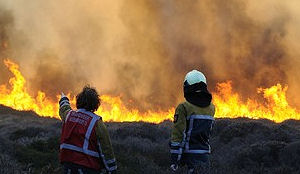 Duinbrand Bergen aan Zee laait weer op