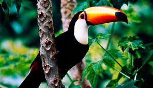 Van der Valk presteert boven eigen verwachting