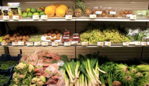 Bio-omzet groeit ondanks recessie