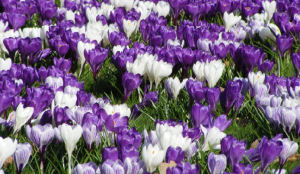 Meer boekingen mei-vakantie