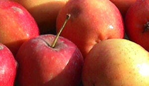Appels promoten bedrijven Hennie van der Most