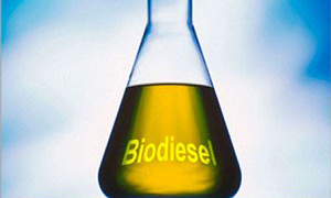 Op gebruikte frituurolie naar Rome