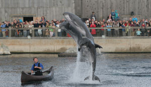 Minder bezoek attractieparken op Hemelvaartsdag