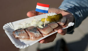 Minister: meer haring in de zee