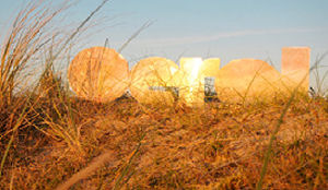 Zeker 55.000 mensen zagen Oerol