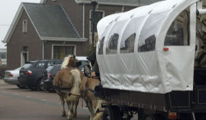 Vandalen vluchten per huifkar na vernielen snackbar