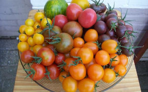 Nederlandse vruchtgroenten op Duitse snelweg