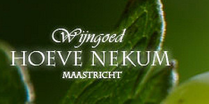 Bilderberg kiest voor Nederlandse wijn