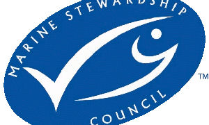 Kwaliteit MSC-keurmerk buiten kijf