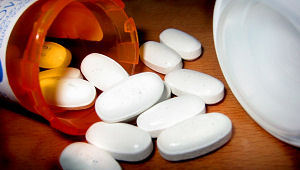 'Kennis horecaondernemers laat te wensen over