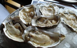Zieke oester niet schadelijk voor restaurantgast