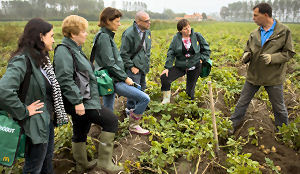 Consumenten checken frietproductie McDonald's