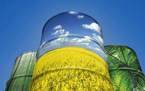 Betrapt: mannen stelen bakolie