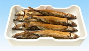 Niven Kunz ontwikkelt makreel-recepten
