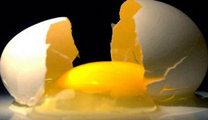 Scharrelei 'meest misleidende term