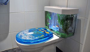 Vissen in het toilet bij Bon Appetit