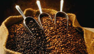 Slow coffee' culinaire trendwoord 2011