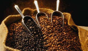 Slow coffee' culinaire trendwoord 2011