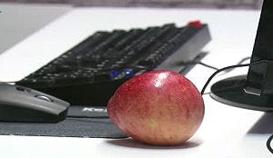 Eurest: 'werkgever moet gratis fruit aanbieden