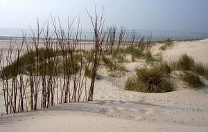 Meeste restaurants in Zeeland