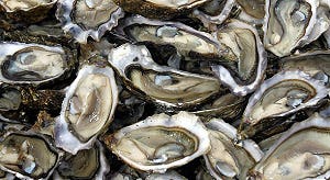 Oesters uit Frankrijk fors duurder door problemen